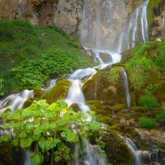 Jadovnički ultramaraton 2026